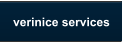 verinice services