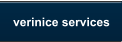 verinice services