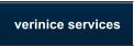verinice services